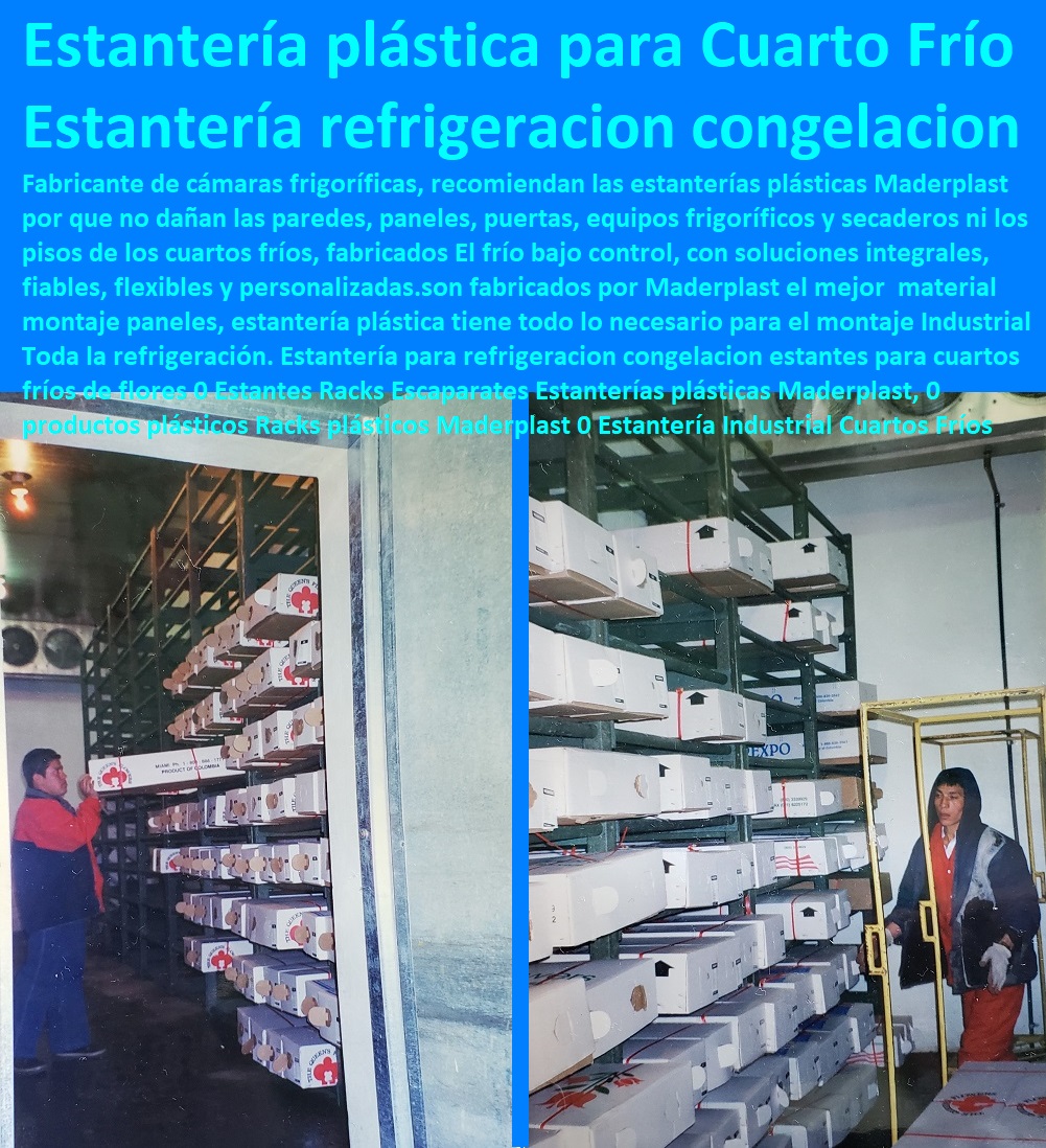 Estantería para refrigeracion congelacion estantes para cuartos fríos de flores 0 Estantes Racks Escaparates Estanterías plásticas CULTIVOS TECNIFICADOS, INVERNADEROS, Semilleros, Bancos De Siembra, Hidroponía, Agricultura, Cosecha, Poscosecha, Tutores Para Flores, Cable Vía Bananas Aromáticas, Maderplast, 0 productos plásticos Racks plásticos Maderplast 0 Estantería Industrial Cuartos Fríos Estantería para refrigeracion congelacion estantes para cuartos fríos de flores 0 Estantes Racks Escaparates Estanterías plásticas Maderplast, 0 productos plásticos Racks plásticos Maderplast 0 Estantería Industrial Cuartos Fríos